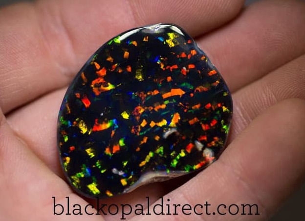 Арлекин Опал.