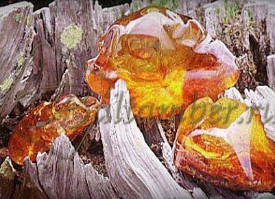 Легенды о янтаре.