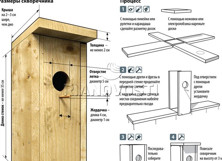 ИНФОГРАФИКА: Как сделать скворечник своими руками