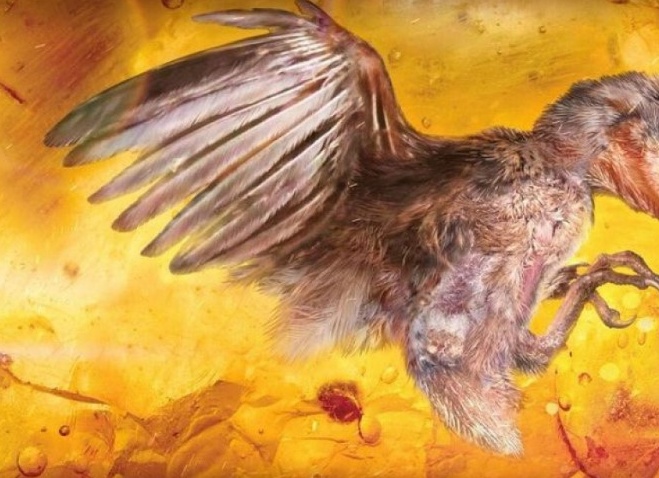 Инклюзы с птицами.