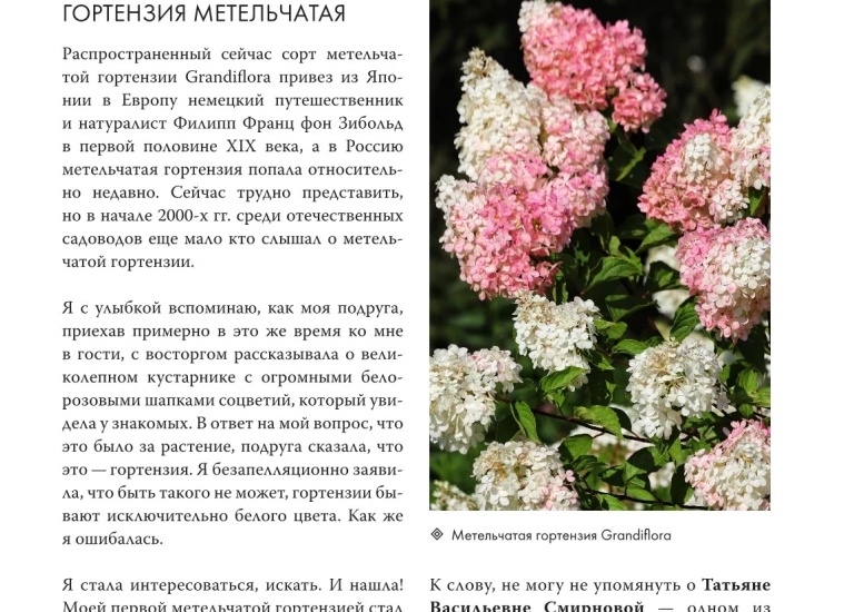 Как ухаживать за орхидеями разных сортов