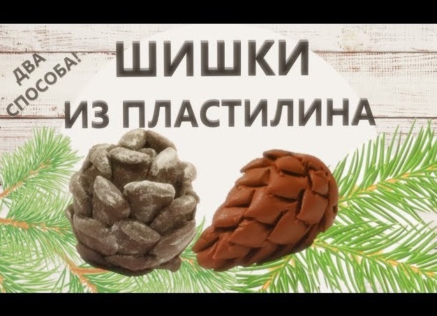 Как нарисовать шишку: 14 простых способов