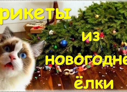 Что сделать из ёлки после праздников: 8 нестандартных решений