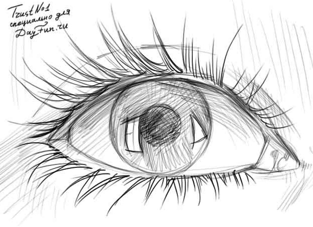 Как нарисовать глаза карандашом поэтапно